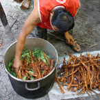 Read <b />“The Quest for Medicinal Plants in Peru” in Ode Magazine