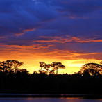 Explorers Club Preserves Amazon
