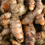 Turmeric