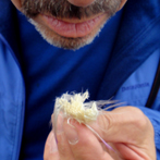 Chris with Milk Thistle