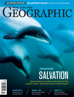 Maui Dolphin: Deep Trouble