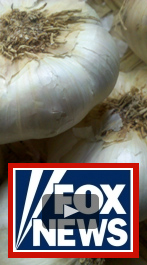 Watch "Garlic – Powerful Medicine" on Fox News Health