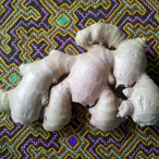 Read more about <b>Ginger</a>